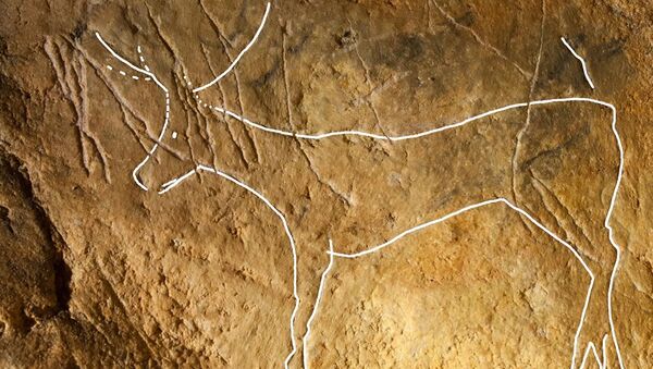 Резной контур (выделено) доисторического оленя или северного оленя в пещере Агнеу II, Ралли, Саоне и Луаре, Франция. - Sputnik Абхазия