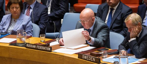 Заседание Совета безопасности ООН по Сирии Заседание Совета безопасности ООН по Сирии - Sputnik Абхазия