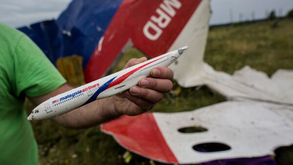 Поисковые работы на месте крушения малайзийского лайнера Boeing 777 в районе Шахтерска - Sputnik Абхазия