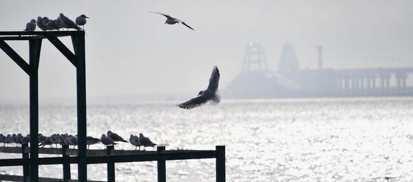 Вид на Керченский пролив с набережной в Керчи. Вид на Керченский пролив с набережной в Керчи. - Sputnik Аҧсны