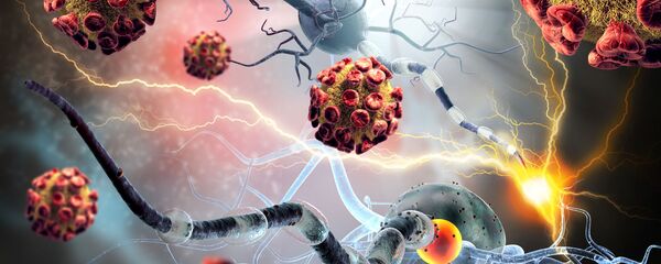 Раковые и нервные клетки Раковые и нервные клетки - Sputnik Абхазия