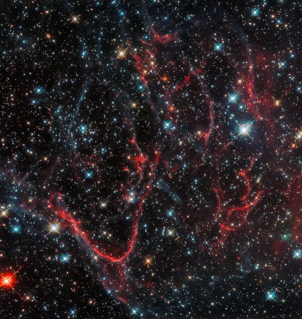 Остаток сверхновой SNR 0454-67.2 - Sputnik Абхазия