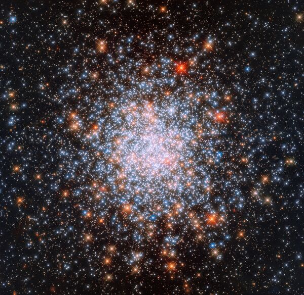 Рассеянное скопление NGC 1866, которое находится в Большом Магеллановом Облаке  - Sputnik Абхазия
