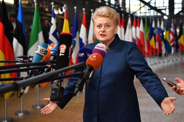 Президент Литвы Даля Грибаускайте отвечает на вопросы журналистов по ее прибытию на саммит Европейского совета в Брюсселе - Sputnik Абхазия