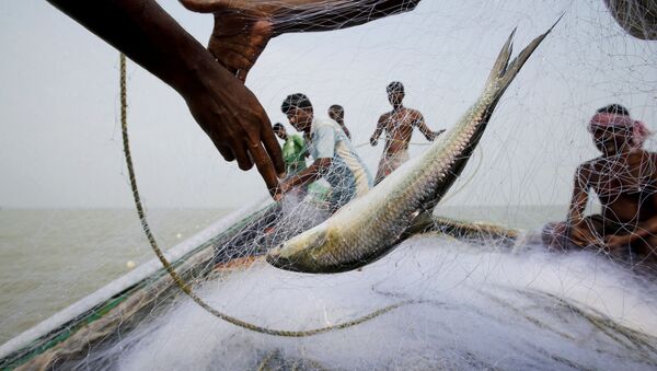 Рыбалка у берегов исчезающего индийского острова Горамара - Sputnik Абхазия