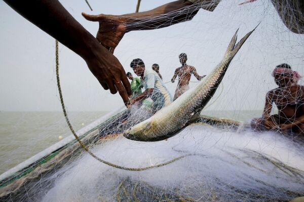 Рыбалка у берегов исчезающего индийского острова Горамара - Sputnik Абхазия