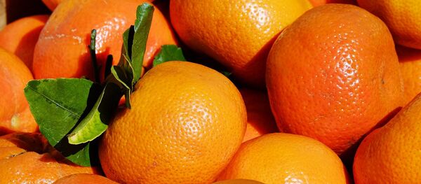 Мандарины Мандарины - Sputnik Абхазия