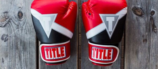 Боксерские перчатки - Sputnik Абхазия