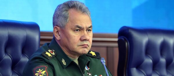 Урыстәыла Атәылахьчара аминистр Сергеи Шоигу Урыстәыла Атәылахьчара аминистр Сергеи Шоигу - Sputnik Аҧсны