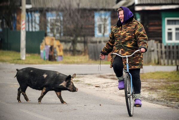 Женщина на велосипеде в селе Тонеж, Белоруссия - Sputnik Абхазия