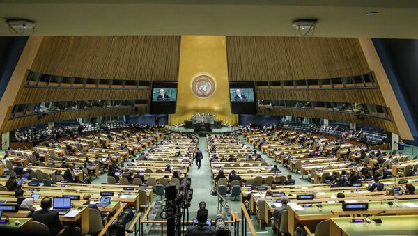 Заседание Генеральной Ассамблеи ООН,архивное фото - Sputnik Абхазия