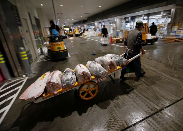 Оптовый торговец вывозит замороженные туши тунца после аукциона на рыбном рынке в Токио - Sputnik Абхазия