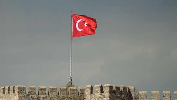 Флаг Турции - Sputnik Абхазия