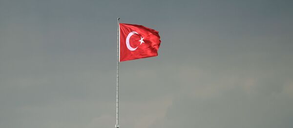 Флаг Турции Флаг Турции - Sputnik Абхазия