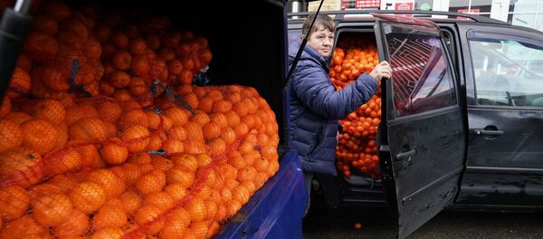 Продажа мандаринов на границе России и Абхазии в Краснодарском крае - Sputnik Абхазия