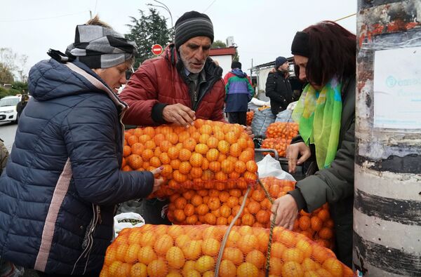 Продажа мандаринов на границе России и Абхазии в Краснодарском крае - Sputnik Абхазия