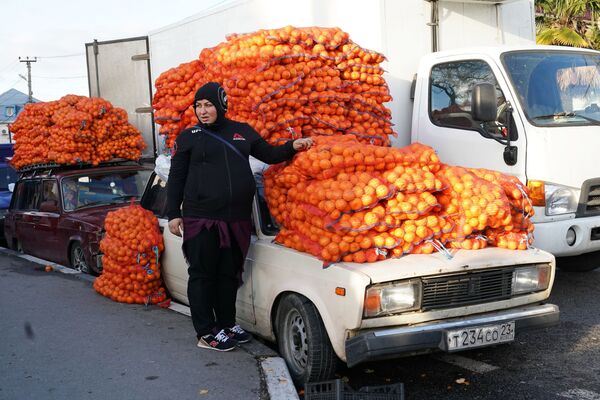 Продажа мандаринов на границе России и Абхазии в Краснодарском крае - Sputnik Абхазия