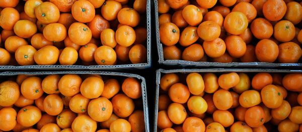 Продажа мандаринов на границе России и Абхазии в Краснодарском крае Продажа мандаринов на границе России и Абхазии в Краснодарском крае - Sputnik Абхазия