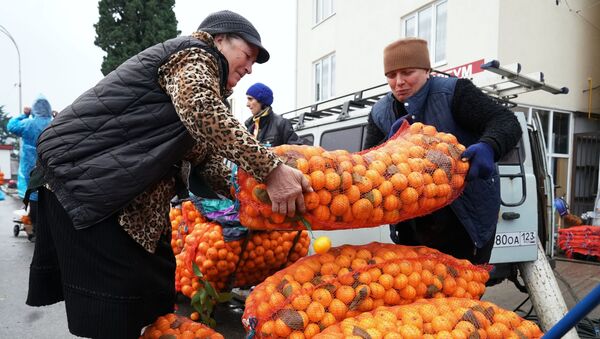 Продажа мандаринов на границе России и Абхазии в Краснодарском крае - Sputnik Аҧсны