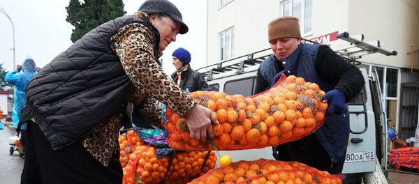 Продажа мандаринов на границе России и Абхазии в Краснодарском крае - Sputnik Аҧсны
