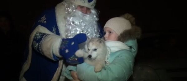 Школьница Валерия Шаталова из деревни Хмелинец Липецкой области получила в подарок от президента Владимира Путина щенка хаски Школьница Валерия Шаталова из деревни Хмелинец Липецкой области получила в подарок от президента Владимира Путина щенка хаски - Sputnik Абхазия