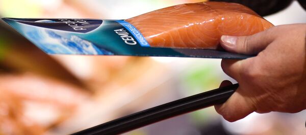 Семга, архивное фото - Sputnik Абхазия