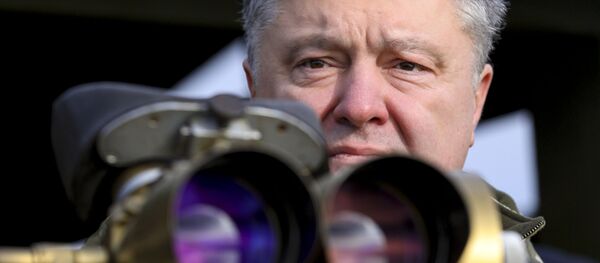 Президент Украины П. Порошенко посетил тактические учения десантно-штурмовых войск в Житомирской области - Sputnik Абхазия