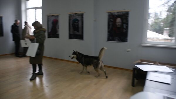 Собака-познавака: смотрите, как пес Игорь посетил выставку в Сухуме - Sputnik Абхазия