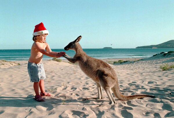 Девочка с кенгуру на пляже накануне Рождества в Австралии  - Sputnik Абхазия