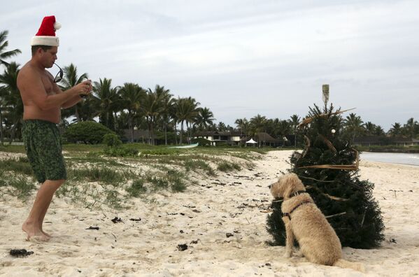 Мужчина фотографирует собаку у рождественской елки на Гавайях  - Sputnik Абхазия