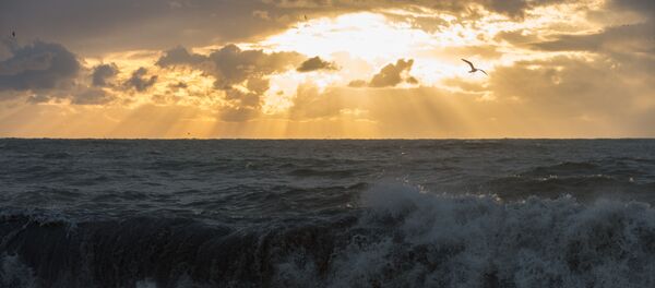 Последствия шторма в Сочи - Sputnik Абхазия