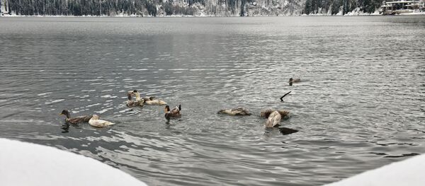 Зимнее озеро Рица - Sputnik Аҧсны