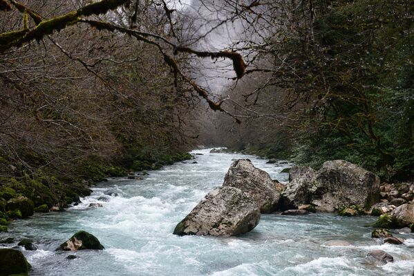 А горные реки, несмотря на снег и холод, не спешат замерзать. - Sputnik Абхазия