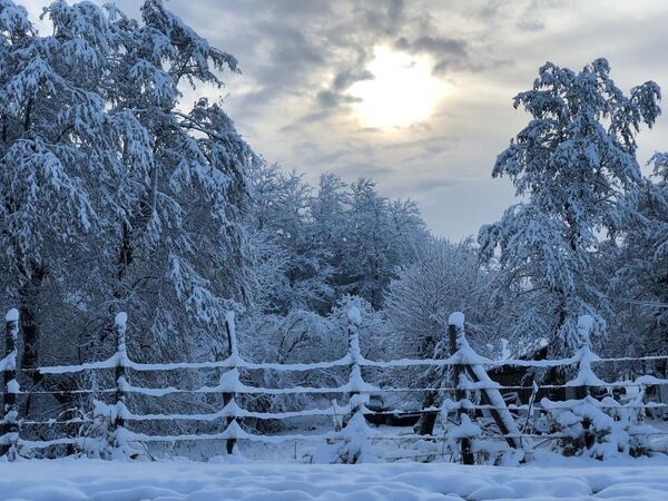 Снег в селе Дурипш - Sputnik Абхазия