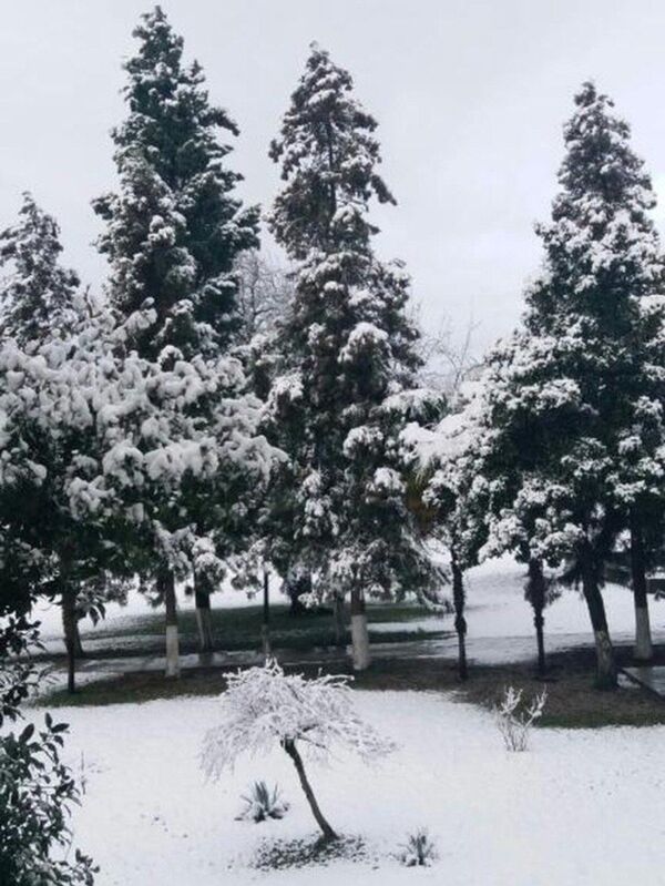 Снег в селе Ачандара - Sputnik Абхазия
