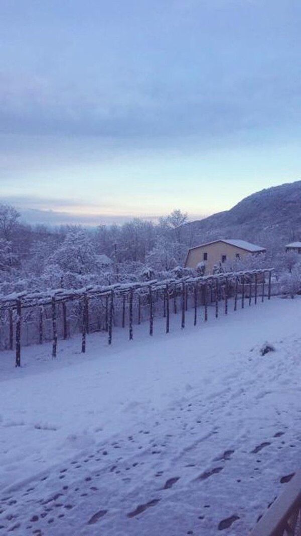 Снег в селе Отхара - Sputnik Абхазия