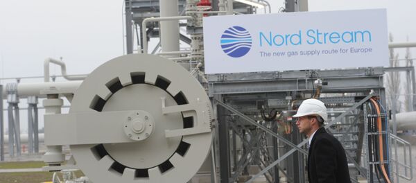 Открытие газопровода Северный поток - Sputnik Абхазия