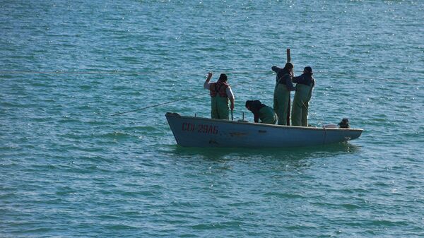 Рыбаки в лодке  - Sputnik Абхазия