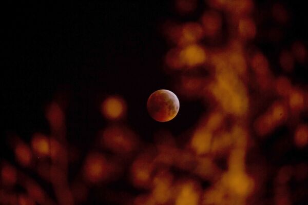 Кровавое лунное затмение в Бельгии  - Sputnik Абхазия