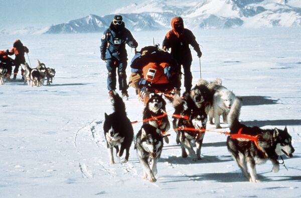 Участники международной трансантарктической экспедиции на Южном полюсе, 1990 год - Sputnik Абхазия