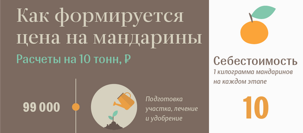 Мандарины Мандарины - Sputnik Абхазия