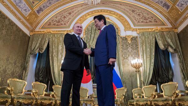 Встреча президента РФ В. Путина с премьер-министром Японии Синдзо Абэ - Sputnik Абхазия