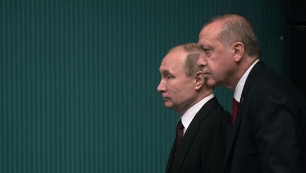 Визит президента РФ В. Путина в Турцию - Sputnik Абхазия