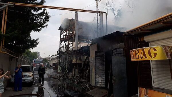 Пожар в Сочи, архивное фото - Sputnik Абхазия