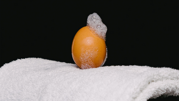 Яйцо из инстаграма - Sputnik Абхазия