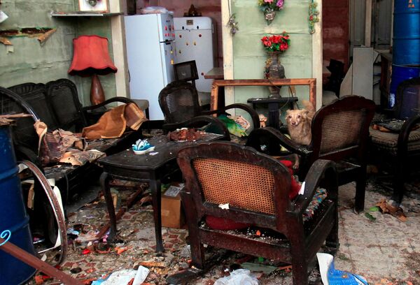 Собака в разрушенной комнате в результате прохождения торнадо в Гаване  - Sputnik Абхазия