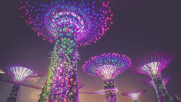 Искусственные деревья в Сингапуре - Sputnik Абхазия