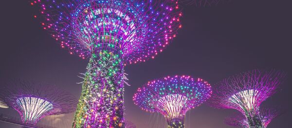 Искусственные деревья в Сингапуре Искусственные деревья в Сингапуре - Sputnik Абхазия