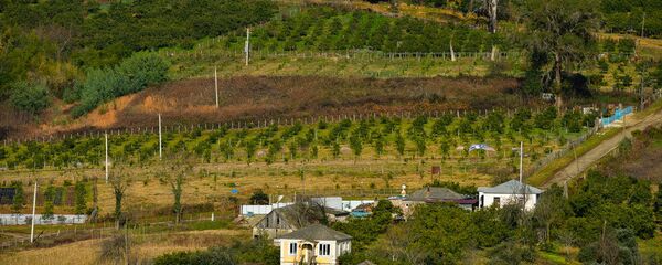 аԥсуа қыҭа аԥсуа қыҭа - Sputnik Аҧсны