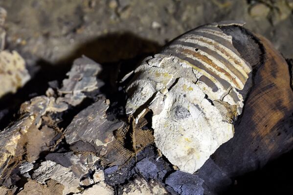 Мумия, найденные на территории древнего кладбища в районе Туна эль-Габаль в провинции эль-Минья в центральной части Египта - Sputnik Абхазия